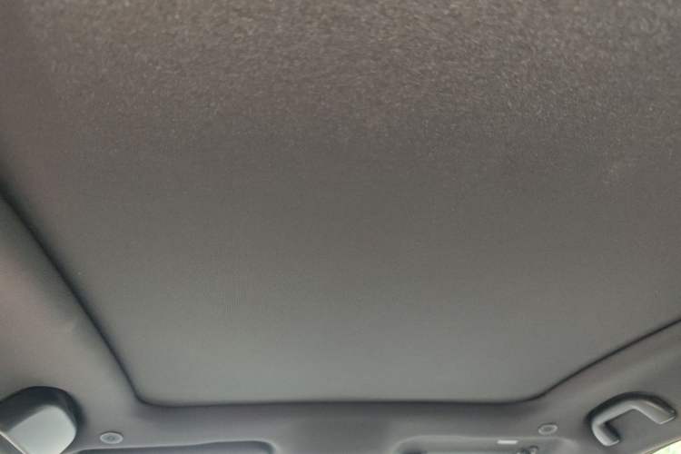 Used BYD Dolphin 2023 420 km Fashion Edition Headliner