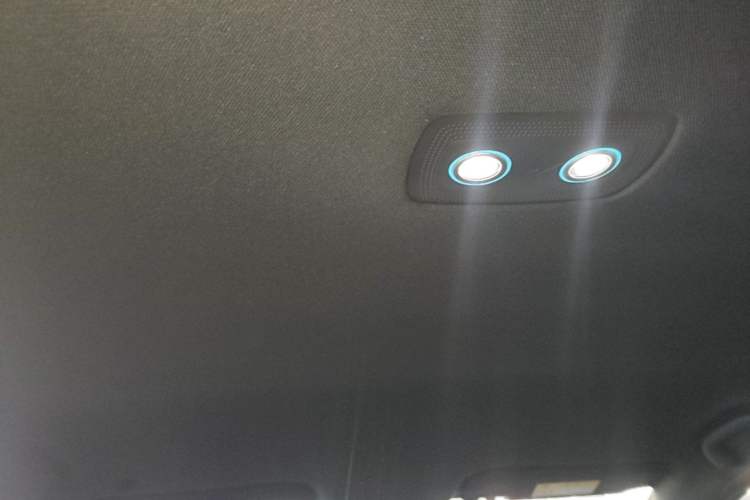 Used BYD Dolphin 2023 420 km Free Version Headliner