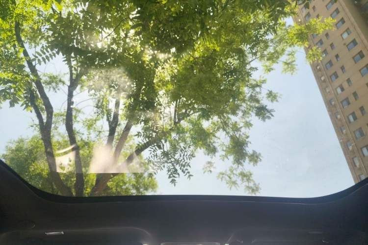 Used BYD Dolphin 2023 420 km Fashion Edition Headliner