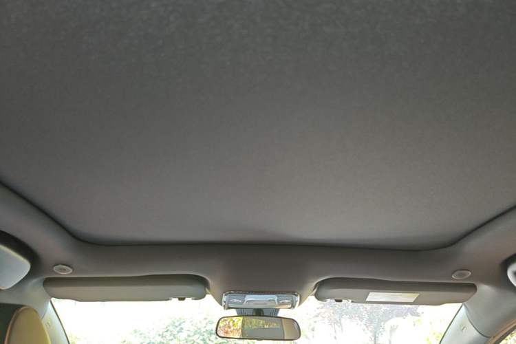 Used BYD Dolphin 2023 420 km Fashion Edition Headliner