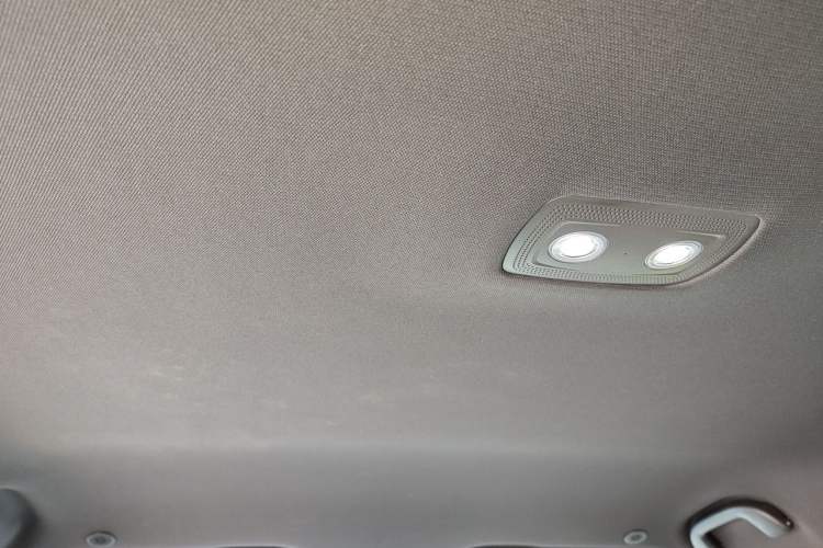 Used BYD Dolphin 2023 420 km Free Version Headliner