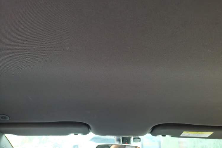 Used BYD Dolphin 2023 420 km Free Version Headliner