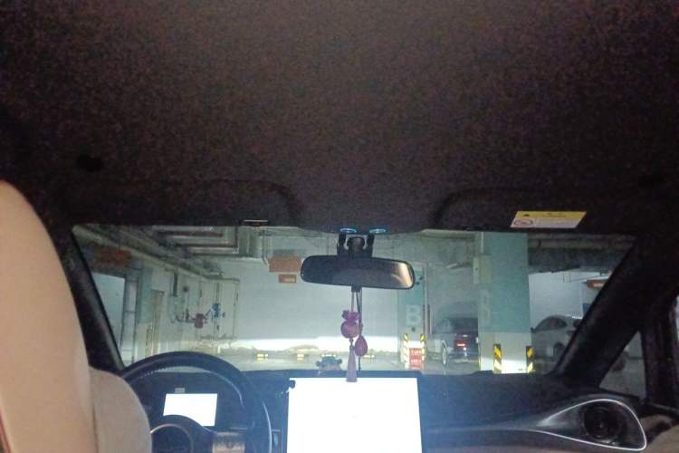 Used BYD Dolphin 2023 420 km Free Version Headliner
