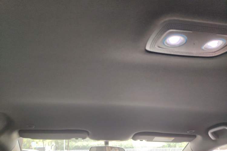 Used BYD Dolphin 2023 420 km Free Version Headliner