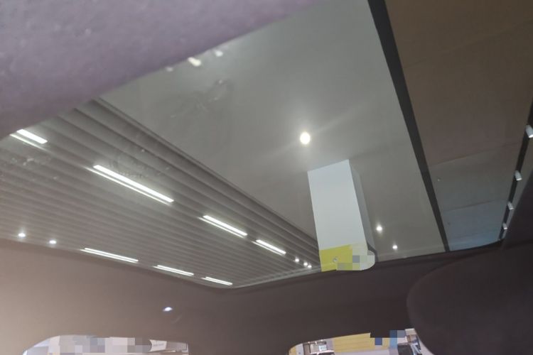 Used BYD Dolphin 2023 420 km Fashion Edition Headliner