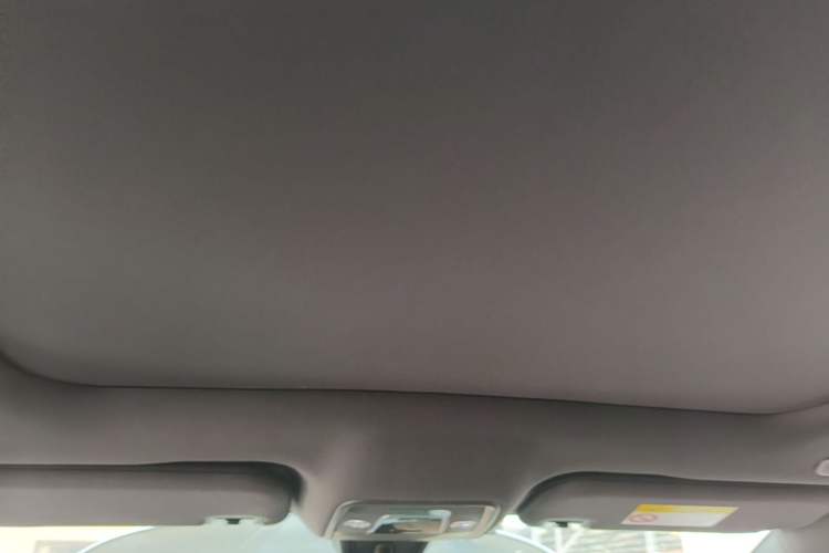 Used BYD Dolphin 2023 420 km Fashion Edition Headliner