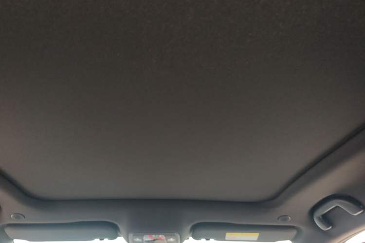 Used BYD Dolphin 2023 420 km Fashion Edition Headliner