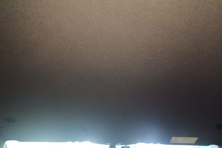 Used BYD Dolphin 2023 420 km Free Version Headliner