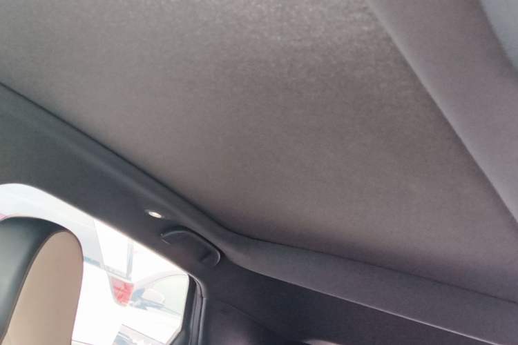 Used BYD Dolphin 2023 420 km Fashion Edition Headliner
