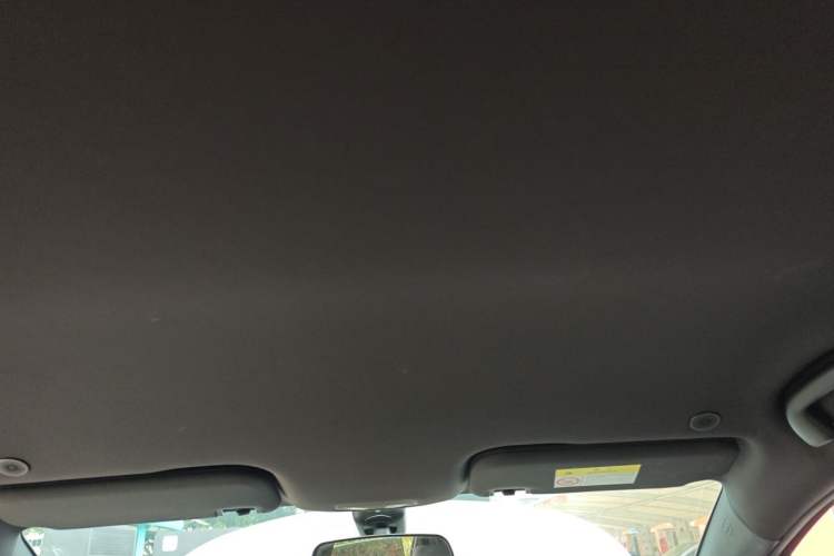 Used BYD Dolphin 2023 420 km Free Version Headliner