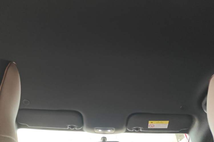 Used BYD Dolphin 2023 420 km Free Version Headliner