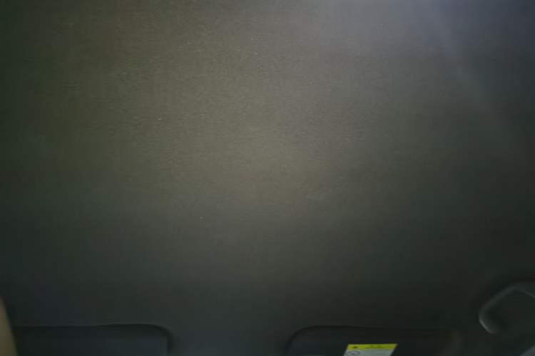 Used BYD Dolphin 2023 420 km Free Version Headliner
