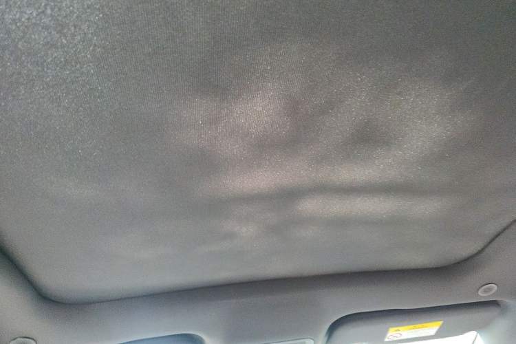 Used BYD Dolphin 2023 420 km Fashion Edition Headliner