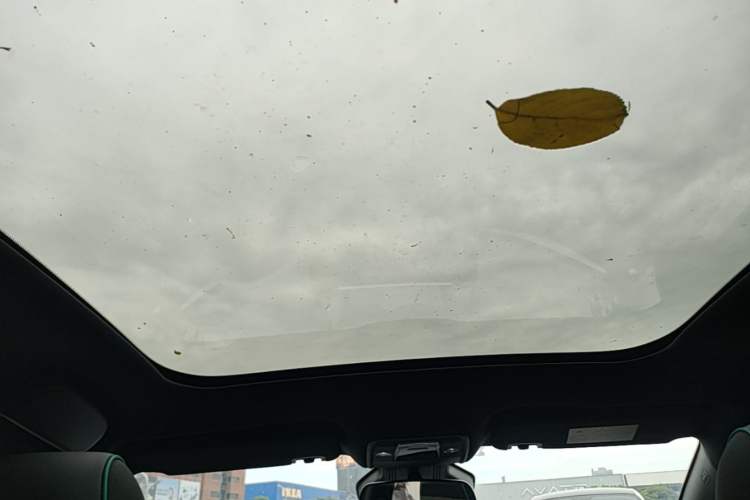 Used BYD Dolphin 2023 401km Knight Edition Headliner