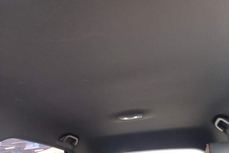Used BYD Dolphin 2023 420 km Free Version Headliner