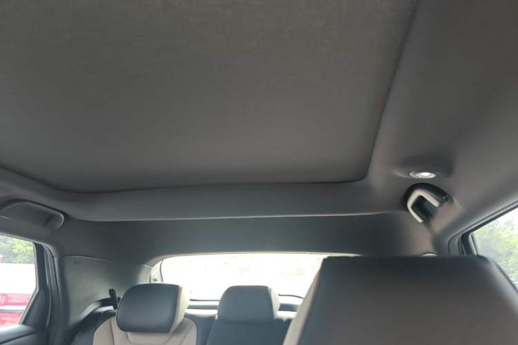 Used BYD Dolphin 2023 420 km Fashion Edition Headliner