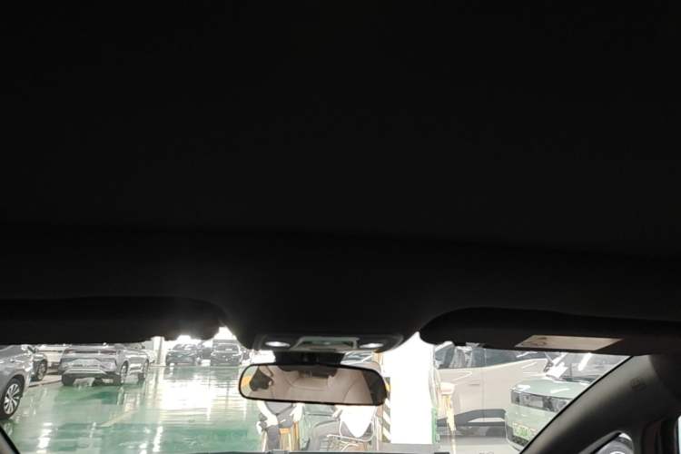 Used BYD Dolphin 2023 420 km Fashion Edition Headliner