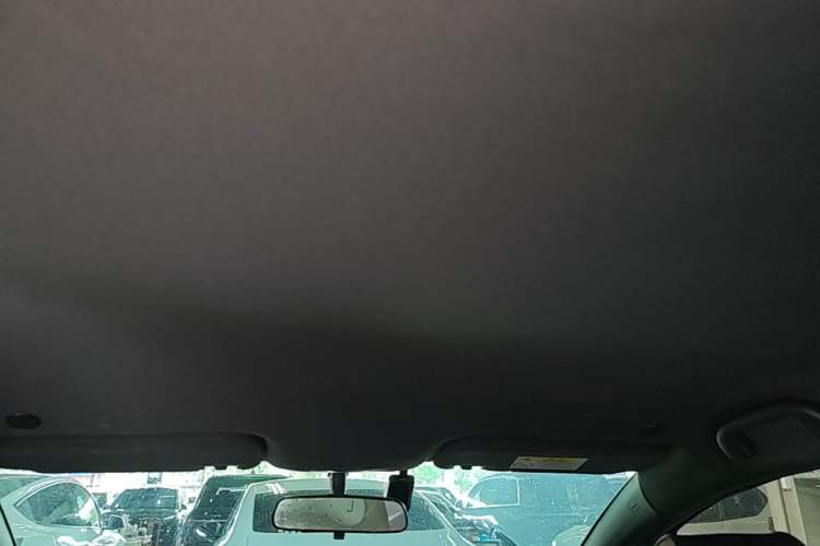 Used BYD Dolphin 2023 420 km Free Version Headliner
