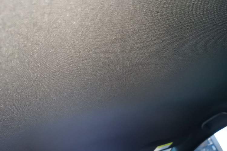 Used BYD Dolphin 2023 420 km Free Version Headliner