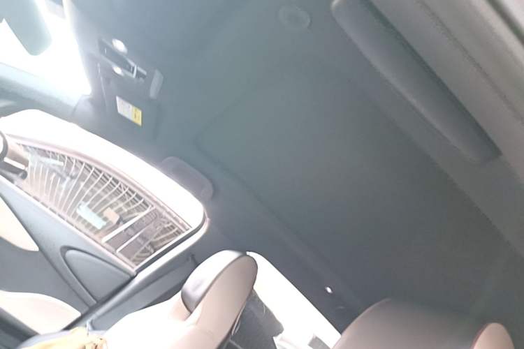 Used BYD Dolphin 2023 420 km Fashion Edition Headliner