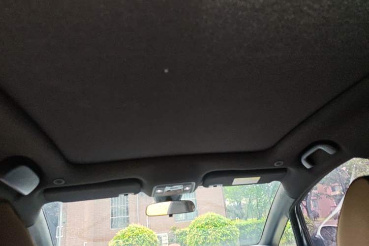Used BYD Dolphin 2023 420 km Fashion Edition Headliner