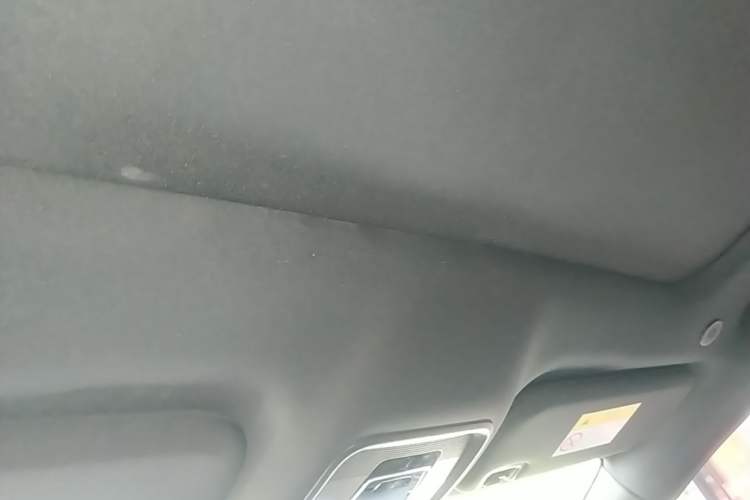 Used BYD Dolphin 2023 420 km Fashion Edition Headliner