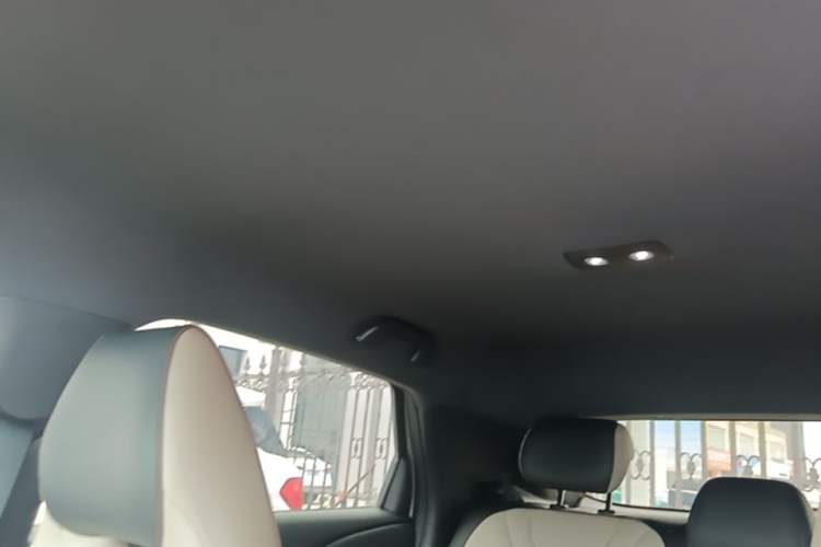 Used BYD Dolphin 2023 420 km Free Version Headliner