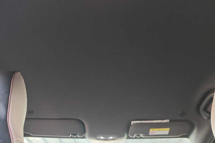 Used BYD Dolphin 2023 420 km Free Version Headliner