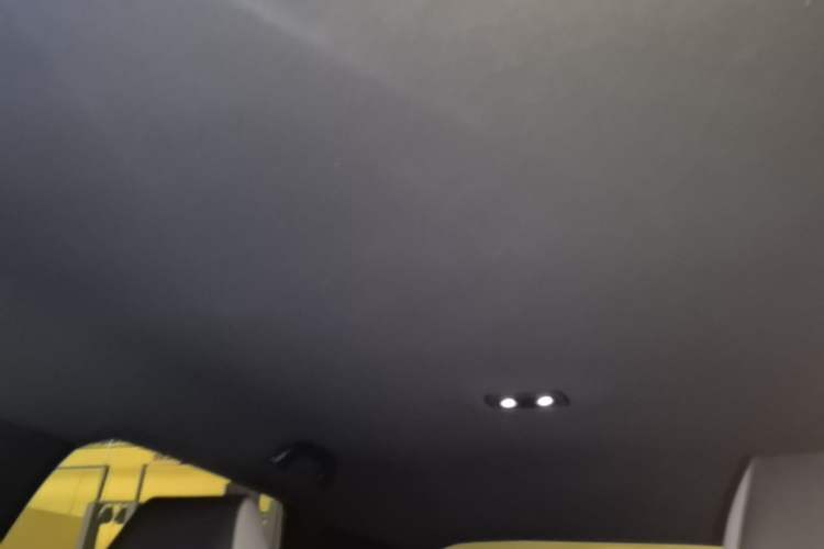 Used BYD Dolphin 2023 420 km Free Version Headliner