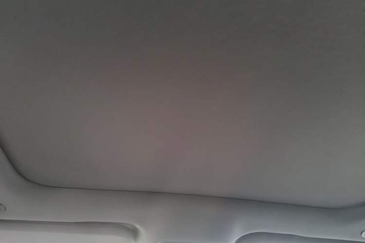 Used BYD Dolphin 2023 420 km Fashion Edition Headliner
