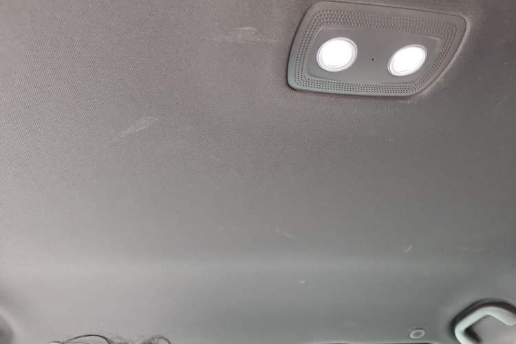 Used BYD Dolphin 2023 420 km Free Version Headliner