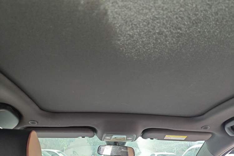 Used BYD Dolphin 2023 420 km Fashion Edition Headliner