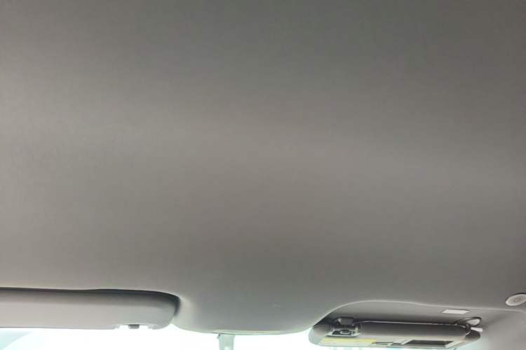 Used BYD Dolphin 2023 420 km Free Version Headliner