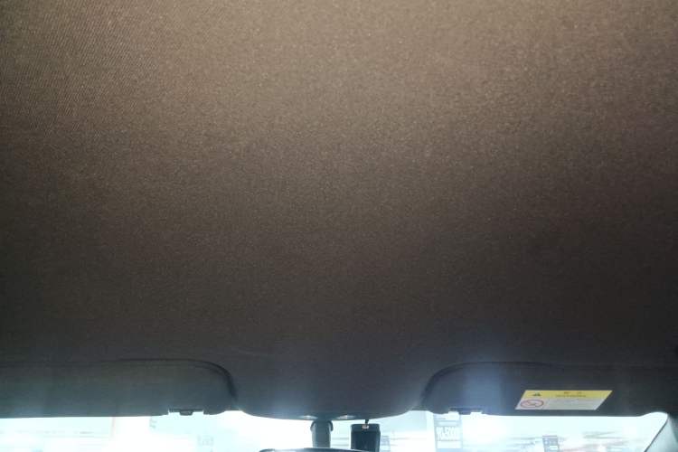 Used BYD Dolphin 2023 420 km Free Version Headliner