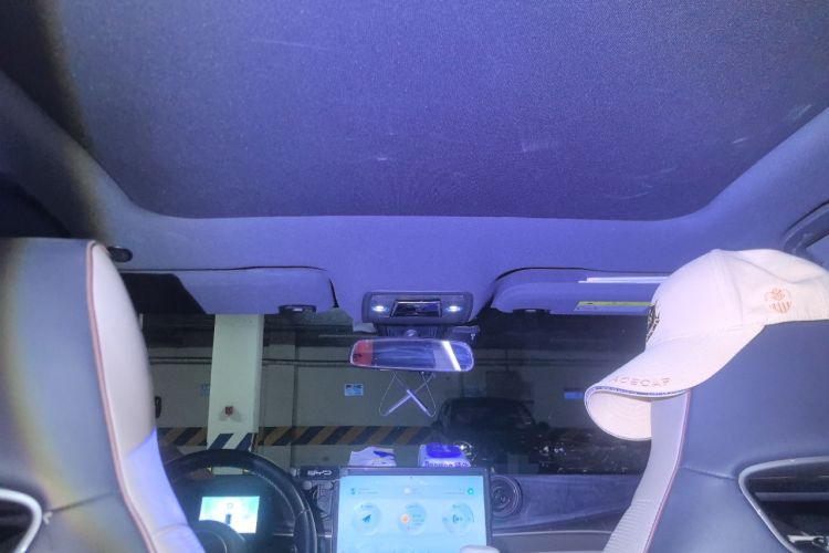 Used BYD Dolphin 2023 420 km Fashion Edition Headliner