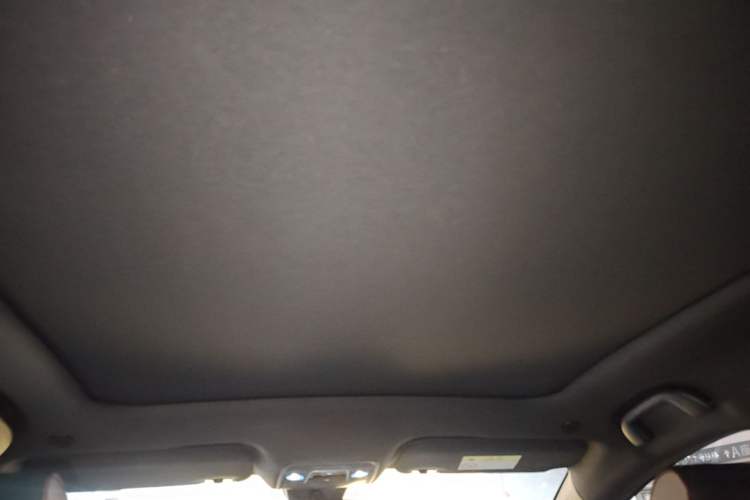Used BYD Dolphin 2023 420 km Fashion Edition Headliner