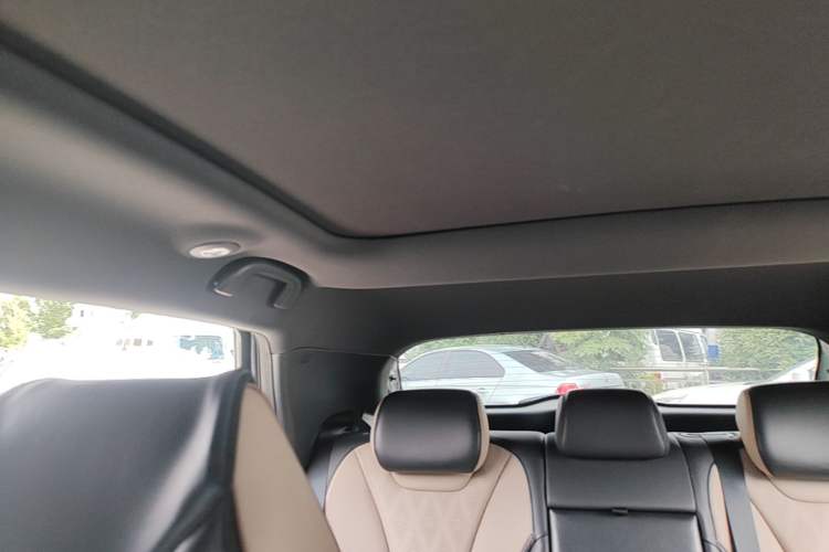 Used BYD Dolphin 2023 420 km Fashion Edition Headliner