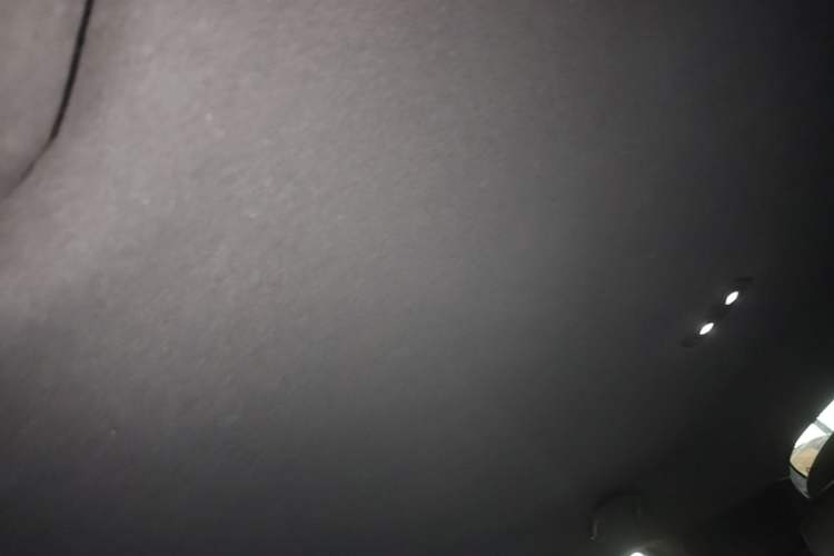 Used BYD Dolphin 2023 420 km Free Version Headliner