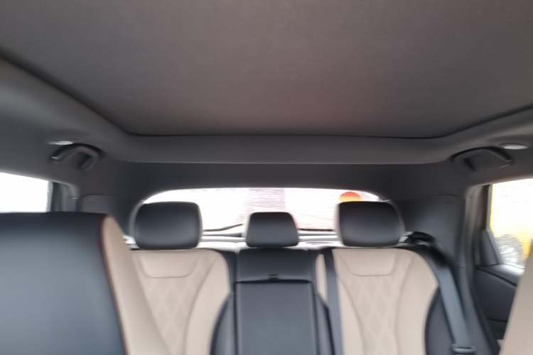 Used BYD Dolphin 2023 420 km Fashion Edition Headliner