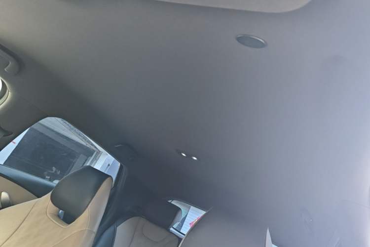 Used BYD Dolphin 2023 420 km Free Version Headliner