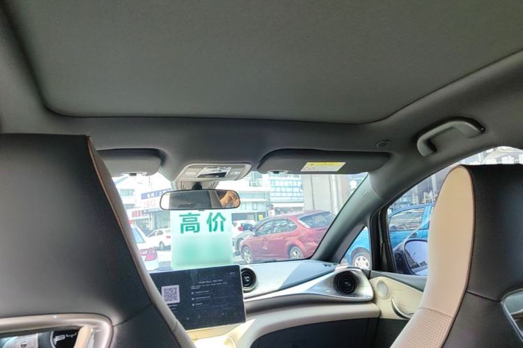 Used BYD Dolphin 2023 420 km Fashion Edition Headliner