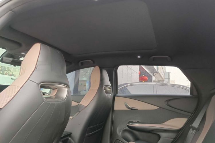 Used BYD Dolphin 2023 420 km Fashion Edition Headliner