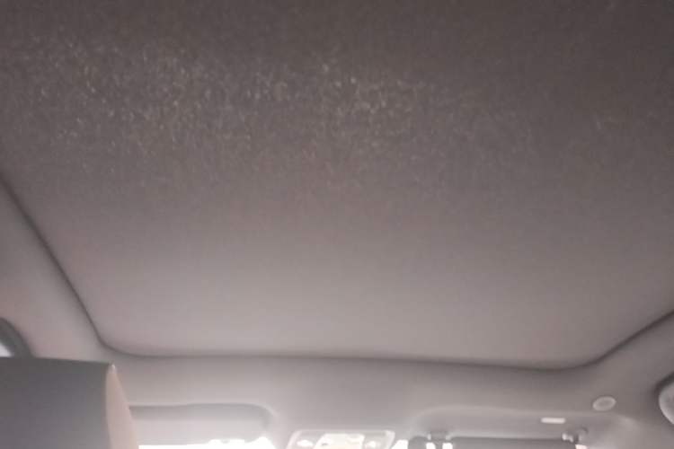 Used BYD Dolphin 2023 420 km Fashion Edition Headliner
