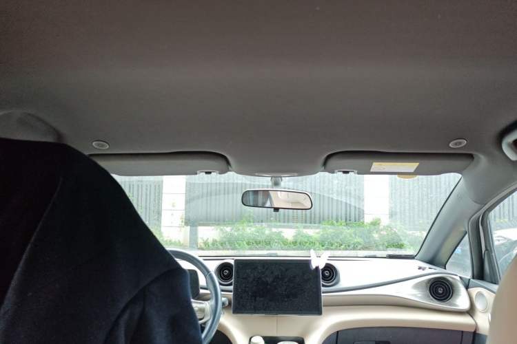 Used BYD Dolphin 2023 420 km Free Version Headliner