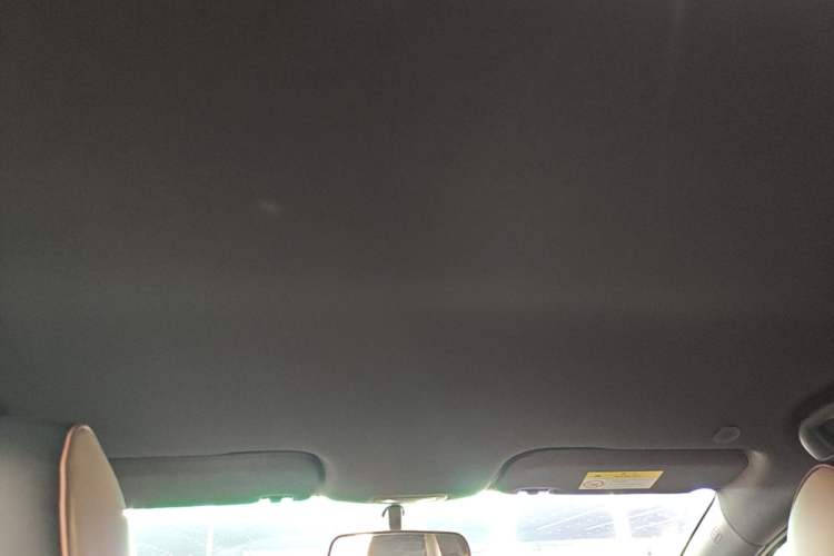 Used BYD Dolphin 2023 420 km Free Version Headliner