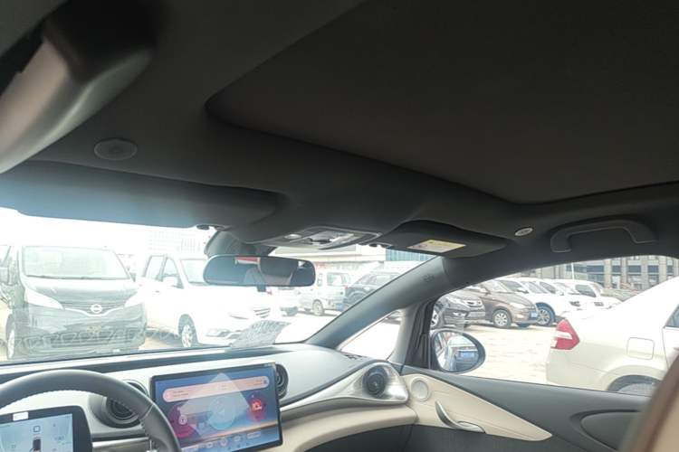 Used BYD Dolphin 2023 420 km Fashion Edition Headliner