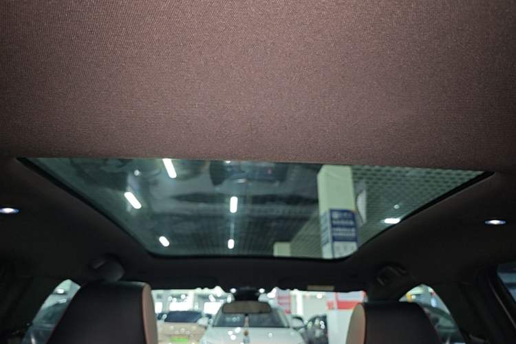 Used BYD Dolphin 2023 420 km Fashion Edition Headliner