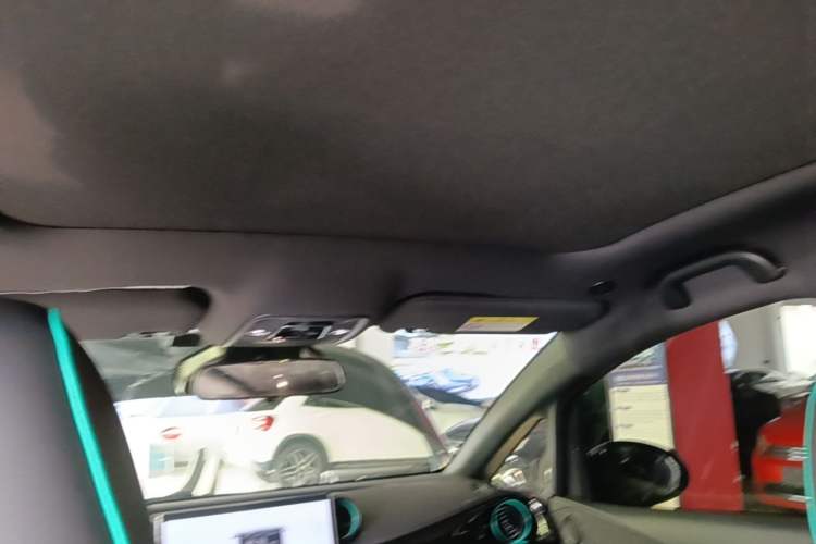 Used BYD Dolphin 2023 401km Knight Edition Headliner
