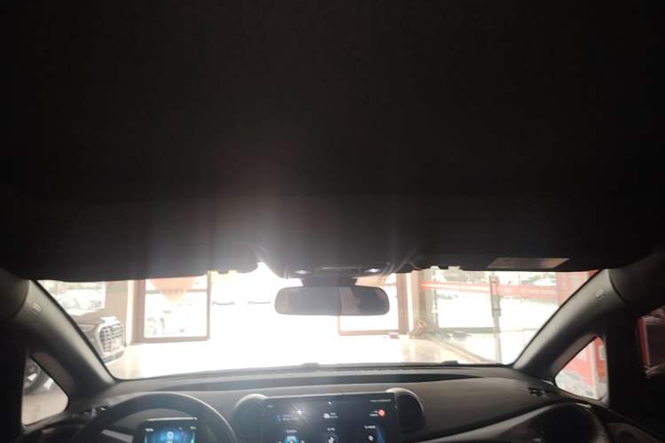 Used BYD Dolphin 2023 420 km Fashion Edition Headliner