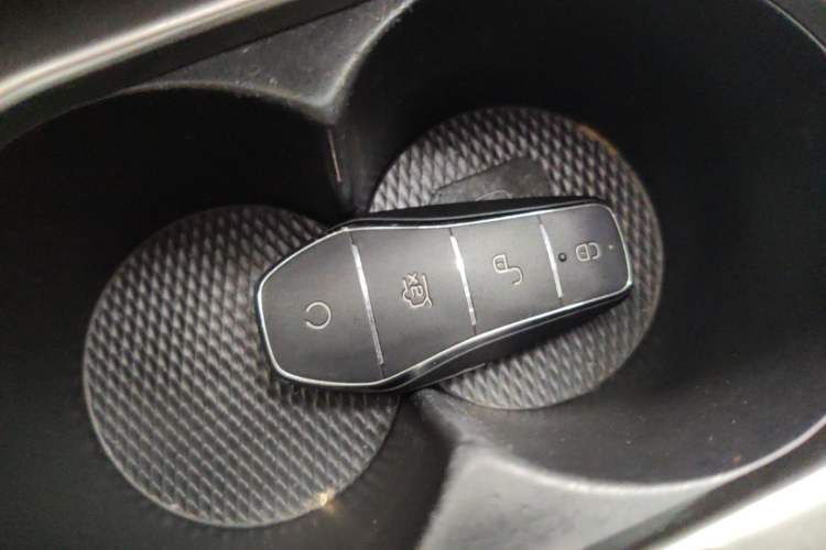 Used BYD Dolphin 2023 420 km Free Version Interior 1